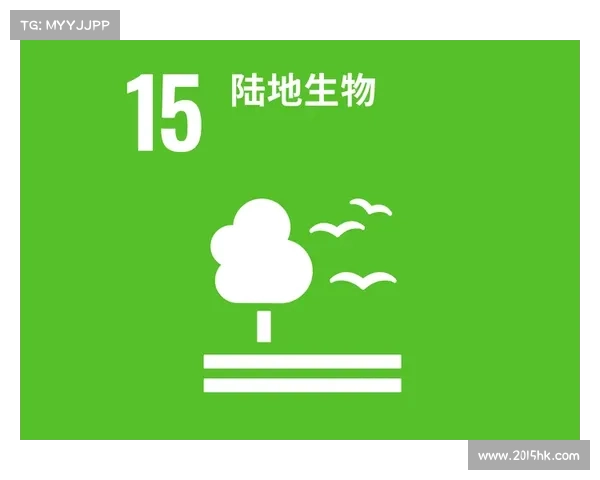提升家园环境建设的有效途径与实践探索助力绿色可持续发展目标的实现 提升家园环境建设的有效途径与实践探索助力绿色可持续发展目标的实现
