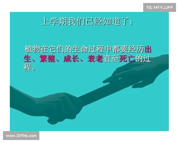 《探索成长与传承之道在最后的神迹中的必经之路》 《探索成长与传承之道在最后的神迹中的必经之路》