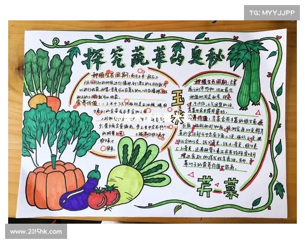通过手指引导揭示网络世界的奥秘与隐秘技巧 通过手指引导揭示网络世界的奥秘与隐秘技巧
