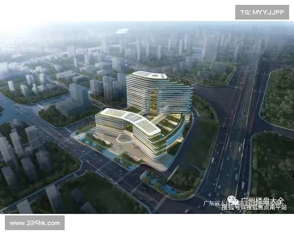 东超的概念解析及其在现实发展中的深远意义探讨